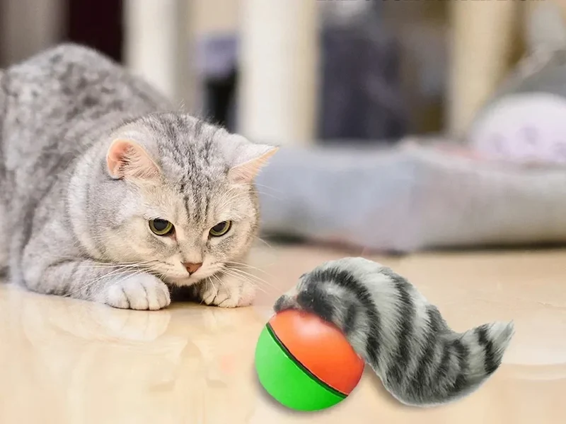 Interaktives Katzenspielzeug mit Ball und Plüsch Frettchen für Katzen & Hunde